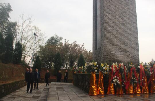 常德路桥集团党委理论学习中心组在浯溪河大捷旧址开展党史学习教育(图6)